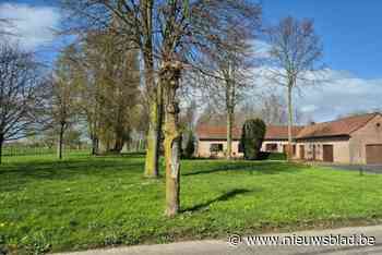 Doodsoorzaak van bejaard koppel in Lierde niet duidelijk na uitwendige lijkschouwing