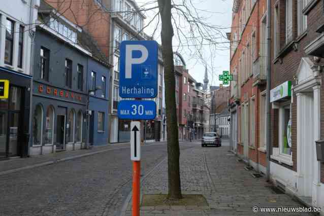 Stad vernieuwt parkeersysteem: op bijna vijftig betalende plekken kan je half uur gratis staan (of 2,5 uur voor wie op het juiste moment komt)