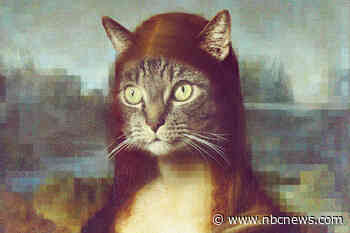 This tool makes AI models hallucinate cats to fight copyright infringement