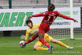 Sammy Bossut krijgt met RC Harelbeke nog vijf matchen om operatie redding te voltooien: “Onverklaarbaar dat we zo zijn weggezakt”