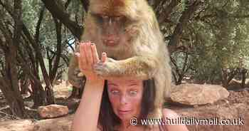 Waitress almost loses finger on holiday when 'not so friendly' monkey mistakes her fake nail for a peanut