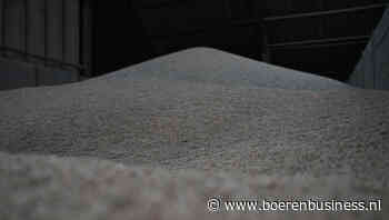 Kwaliteit Russisch graan in nevelen gehuld