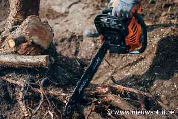 Gemeente Berlaar organiseert gratis ‘houtverhakseldag’ op 27 april