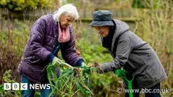 Volunteer groups at 'crisis point' over NHS referrals