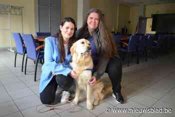 “Met haar zachte ogen en vallende oortjes kan Nouky slachtoffers geruststellen”: gerechtelijke assistentiehond is nieuwste aanwinst van Politiezone Zuid