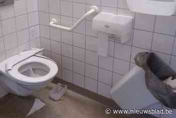 Vandalen vernielen toiletten en steken vuilnisbakken in Kabouterhuisje in brand