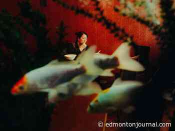 Three to See Edmonton Events: IRL at Latitude 53, one last Veal and Peeping Tom