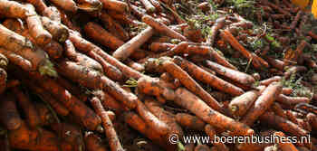 Pasen heeft geen ommekeer op peenmarkt gebracht