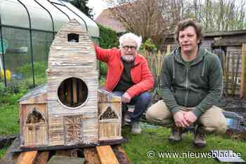 Beeldhouwer en imker bouwen ‘Kathedraal voor Bijen’: “Dit wordt een spannend avontuur”