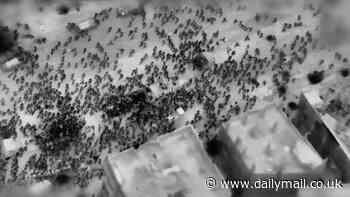 White House investigating reports Israel used AI to identify bombing targets in Gaza and create a 'kill list' of 37,000 Palestinians suspected of being militants