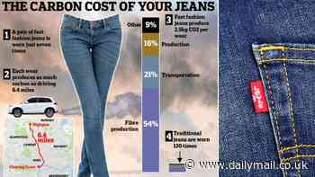Now scientists say wearing JEANS is bad for the environment: Study reveals wearing a pair just once is the equivalent to driving a car for 6.4 miles