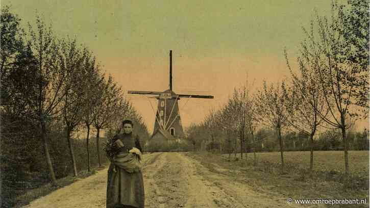 Janus ging failliet aan een miljoen briefkaarten: 'Iets te groot gedacht'
