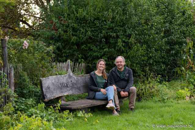 Bij Ecoflora verkopen ze al 30 jaar ‘onkruid’: “Paardenbloemen, brandnetels, madeliefjes, dat zijn echt nuttige planten”