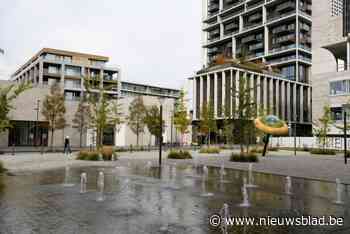 Lettermarkt palmt zaterdag Panamarenkoplein opnieuw in