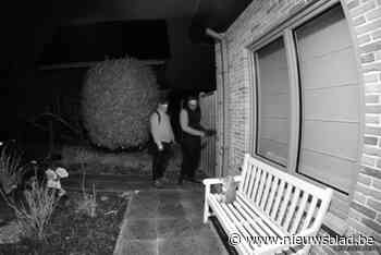 Zestien inbraken op tien dagen in dezelfde buurt: “Politie zet ‘s avonds extra ploeg van recherche in”