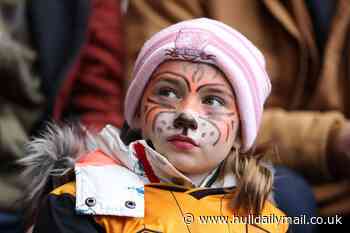 Hull City reveal 2024/25 ticket prices as fans can watch Tigers for just £15 per game