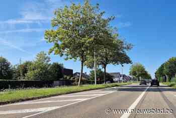 Werken voor veiligere fietspaden en toegankelijkere bushaltes langs Provinciesteenweg in aantocht
