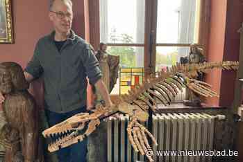 Voor het eerst echt dinoskelet te koop op brocantemarkt in Domein de Renesse