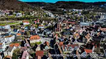 Wahl in Nagold: Zu  Etablierten gesellt sich  Einzelkämpfer