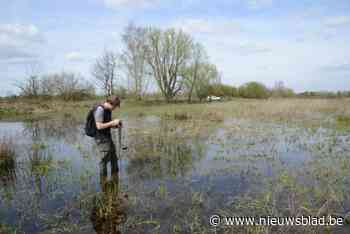 Jobstudent door boer besproeid met “pesticide” tijdens onderzoek “dat zowel natuur als landbouw ten goede moet komen”