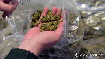 Schmuggler und bekiffte Fahrer – So reagieren unsere Nachbarn auf die Legalisierung