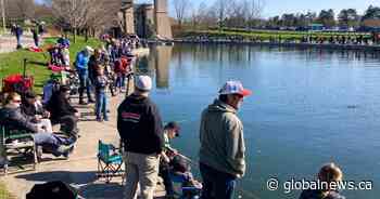 Youth try to hook Walter at 35th Under the Lock Fishing Derby in Peterborough