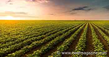 USDA devotes more funding to conservation projects