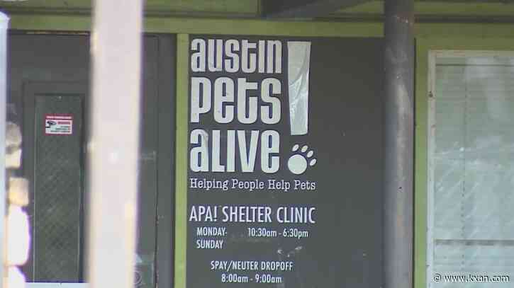 Austin Pets Alive! announces eclipse adoption special