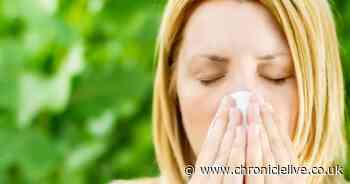 North East hay fever warning and steps you can take to alleviate symptoms as pollen count rises