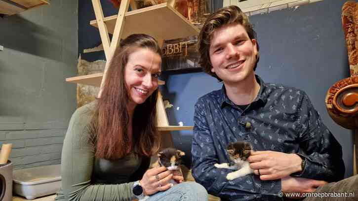 Anja en Pepijn zijn trotse gastouders van jonge kittens: 'Prachtige taak'