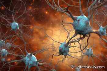 “Unbelievable” Luck – Scientists Shed New Light on the Woman Who Outlived Alzheimer’s