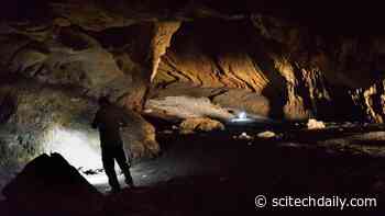 Redefining Human Origins: New Study Reveals Persian Plateau as Key to Human Migration Puzzle