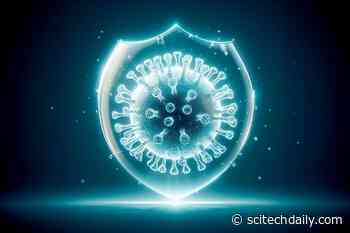 Columbia Study Proves Far-UVC Light Nearly Eradicates Airborne Viruses in Workspaces