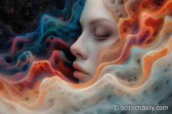 4 Distinct Sleep Types Identified, With Unique Impacts on Long-Term Health