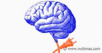 If A.I. Takes All Our Jobs, Will It Also Take Our Purpose?