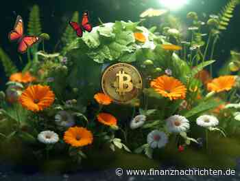 Green Bitcoin verzeichnet am ersten Listungstag über 200 Wal-Transaktionen