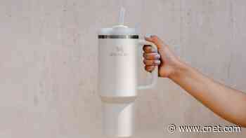 I Use My Stanley Tumblers Every Day. Here's the Size I Like the Most     - CNET