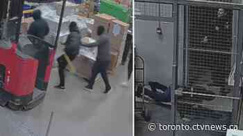 Video shows police intercept break-and-enter at warehouse involving a dozen suspects north of Toronto