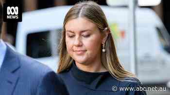 Excerpts of Brittany Higgins's unpublished memoir describe a 'Wolf of Wall Street' scene within Canberra's parliament