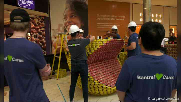 'Canstruction' campaign looks to add much-needed boost to Calgary Food Bank