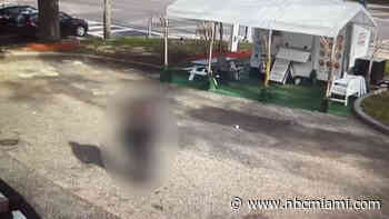 Dramatic video shows woman escaping alleged Florida kidnapper accused of holding her for months