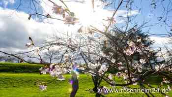 Bis zu 30 Grad am Wochenende! Wann der Hochsommer im April wieder vorbei ist