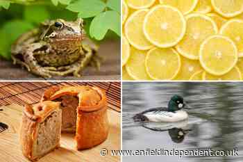 21 Cockney rhyming slang sayings and terms you need to know