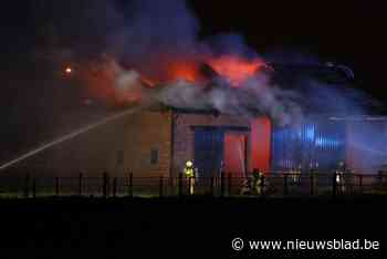 Uitslaande brand vernielt opslagplaats achter woning in Loenhout, geen gewonden
