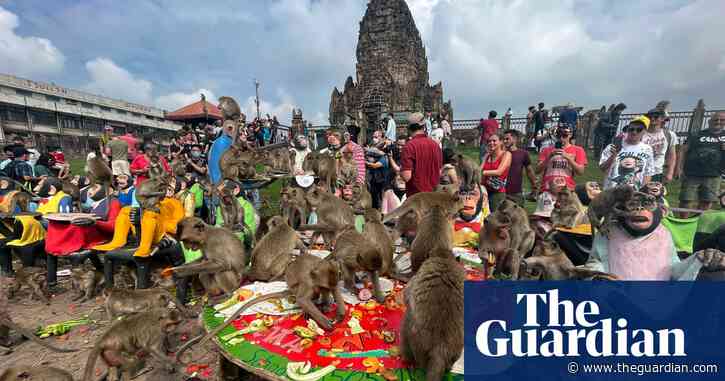 No more monkey business: Thai city’s macaques to be put in enclosures