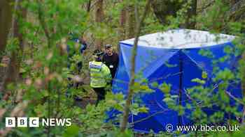 Murder inquiry after human torso found in woods