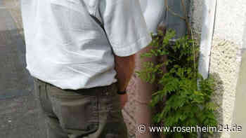 Frau fotografiert Wildpinkler und besprüht ihn mit Pfefferspray