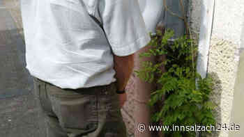 Frau fotografiert Wildpinkler und besprüht ihn mit Pfefferspray