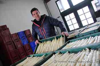 Herford: Warum der Spargel bei von Laer dieses Jahr so früh dran ist