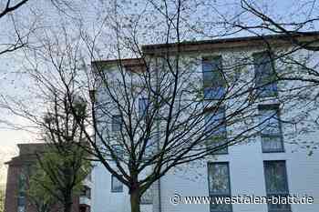 Vlotho: Antimuslimische Graffiti an mehreren Häusern entdeckt